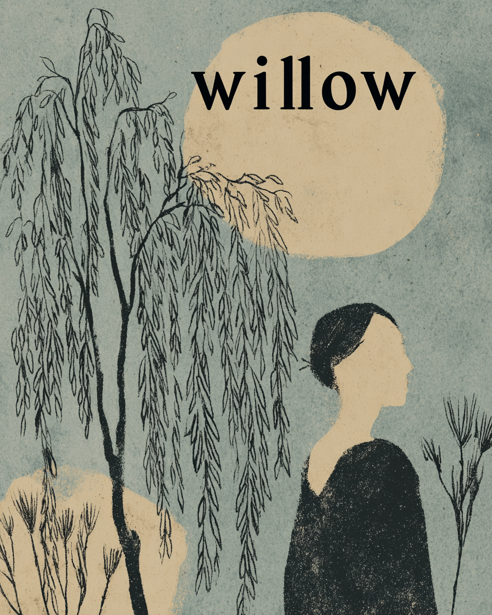 Canva for Overthinkers — A Calm Beginner's Guide to Design Without the Spiral